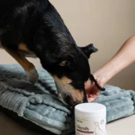 Digestly - Suplement dla psa na jelita - obrazek 3