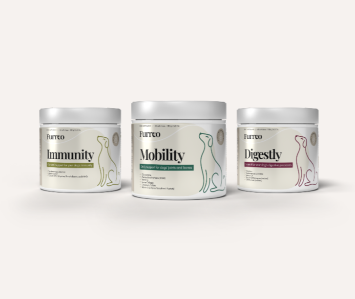 senior-set Zestaw senior - dla starszych psów - obrazek 1