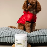 Immunity - Suplement dla psa na odporność - obrazek 3